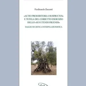 «Actio prohibitoria ususfructus» e tutela del corretto esercizio dello «ius utendi fruendi». Saggio di critica interpolazionistica Goedkoop