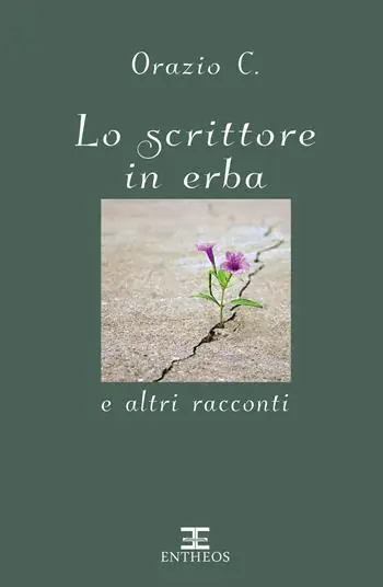 Veilige Betaling Lo scrittore in erba e altri racconti. Nuova ediz.