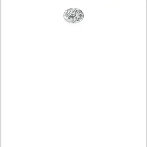 Bestseller Germogli della terra