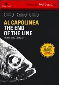 Al capolinea. The end of the line. DVD. Con libro Merkproduct