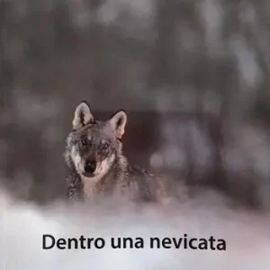 Dentro una nevicata. Ediz. illustrata Betaalbaar