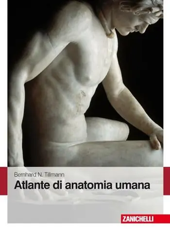 Dagaanbieding Atlante di anatomia umana