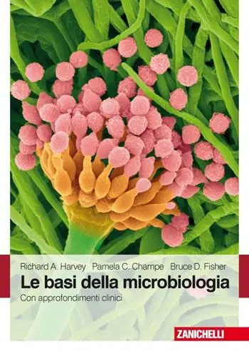 Le basi della microbiologia. Con approfondimenti clinici Populair