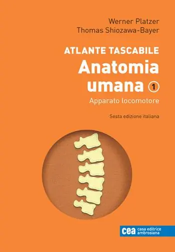 Beperkt Aanbod Atlante tascabile di anatomia umana. Con e-book. Vol. 1 Apparato locomotore