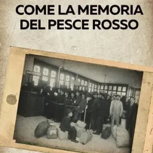 Beperkte Voorraad Come la memoria del pesce rosso
