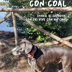A spasso con Coal. Storie di incontri con chi vive con un cane Koop Vandaag