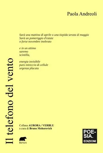 Il telefono del vento Gereduceerde Prijs