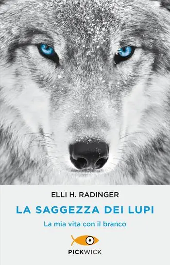 Speciale Aanbieding La saggezza dei lupi. La mia vita con il branco
