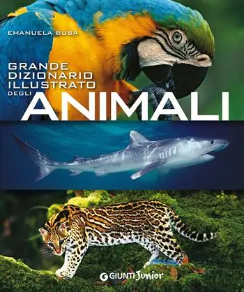 Grande dizionario illustrato degli animali Koopje